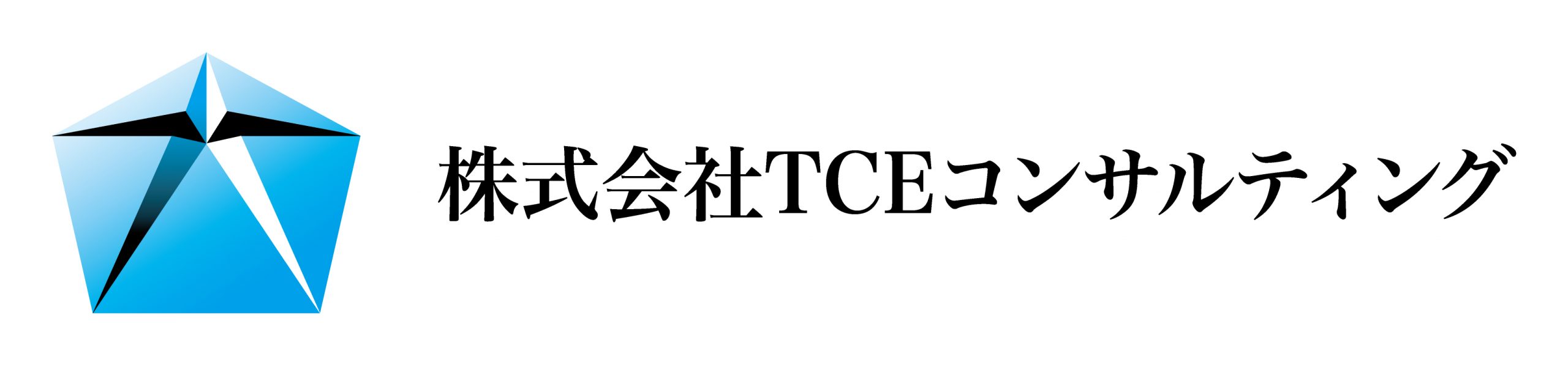 株式会社 TCEコンサルティング