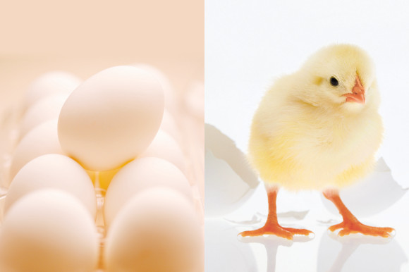 株式会社トマル