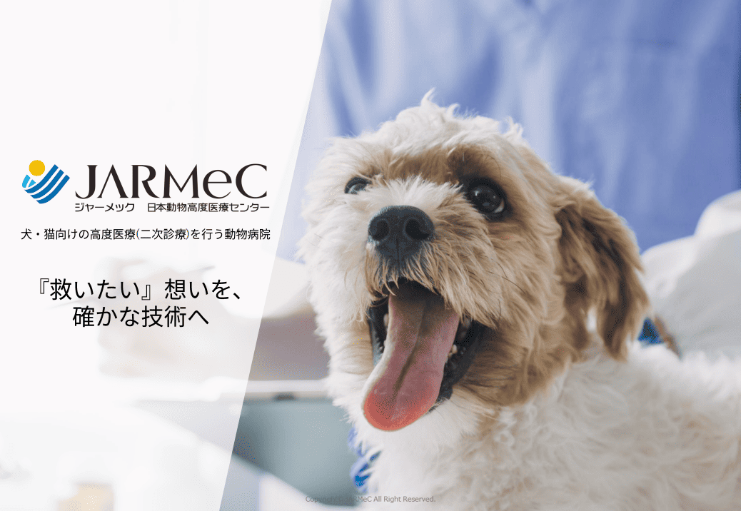株式会社日本動物高度医療センター