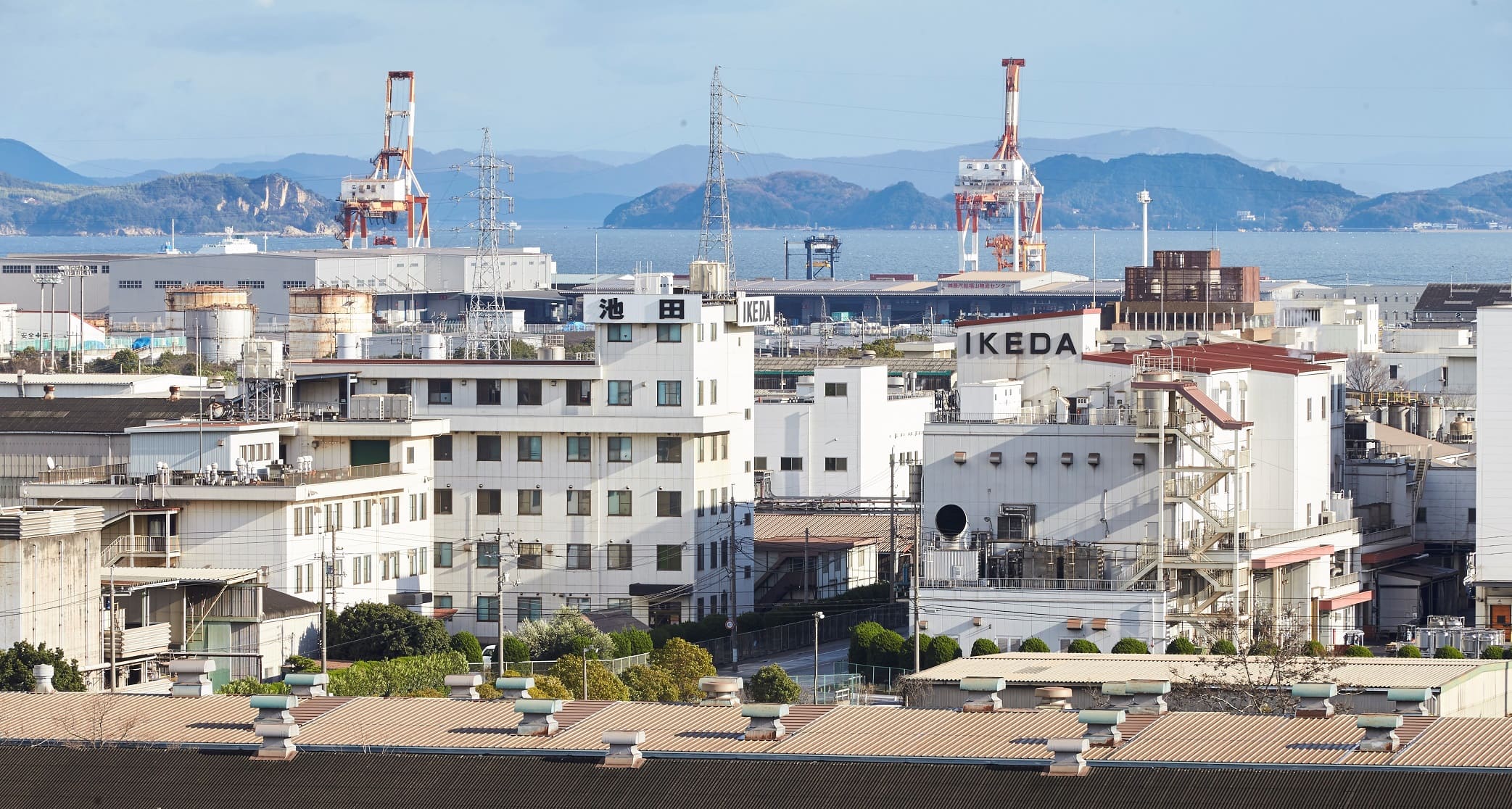 池田糖化工業株式会社